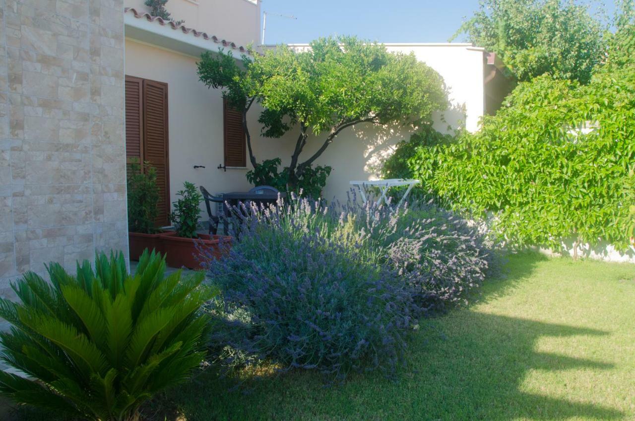 Baia Benessere B&B Eco Vegan Santa Severa Eksteriør bilde